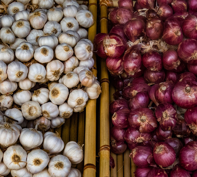 Planting Garlic Bulbs