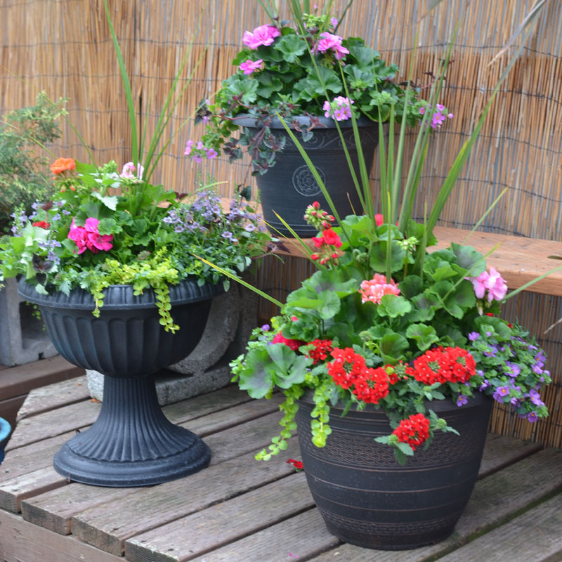 Mixed Shade Container