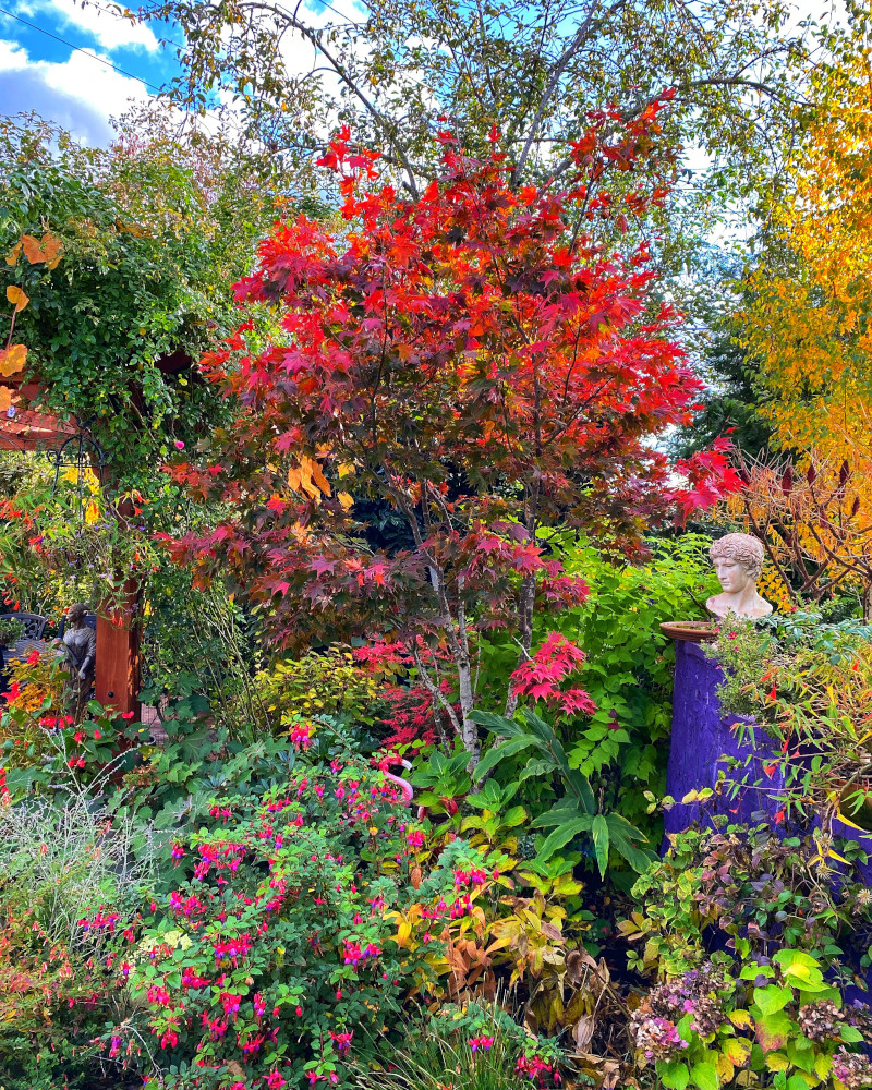 Gardening Calendar – Yard 'N Garden Land