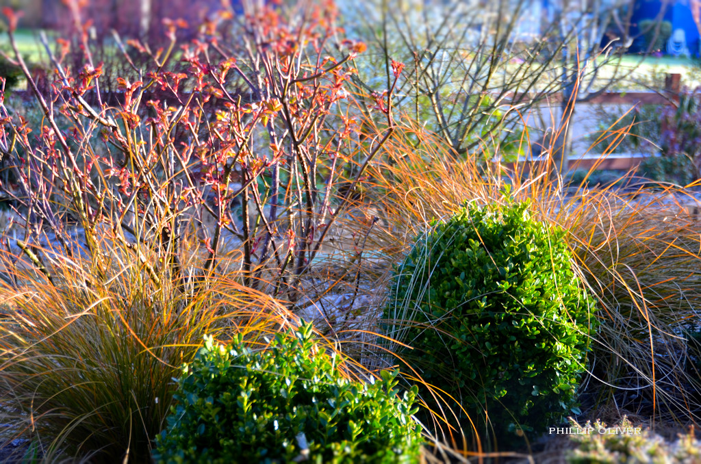 Gardening Activities for March