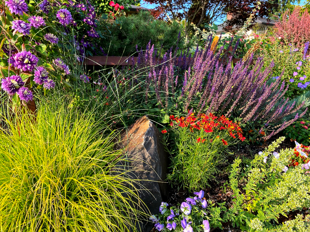 Garden Chores for July