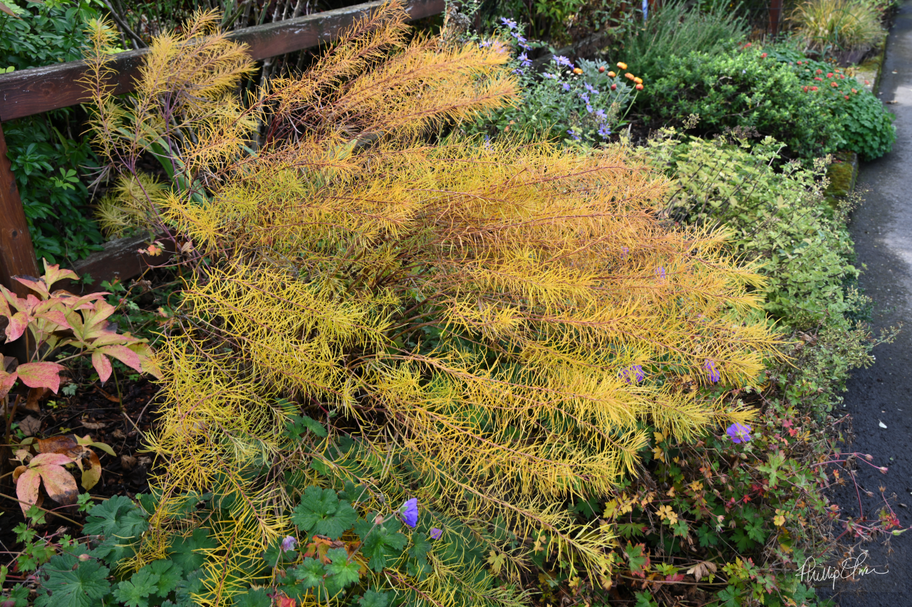 Gardening Activities for October