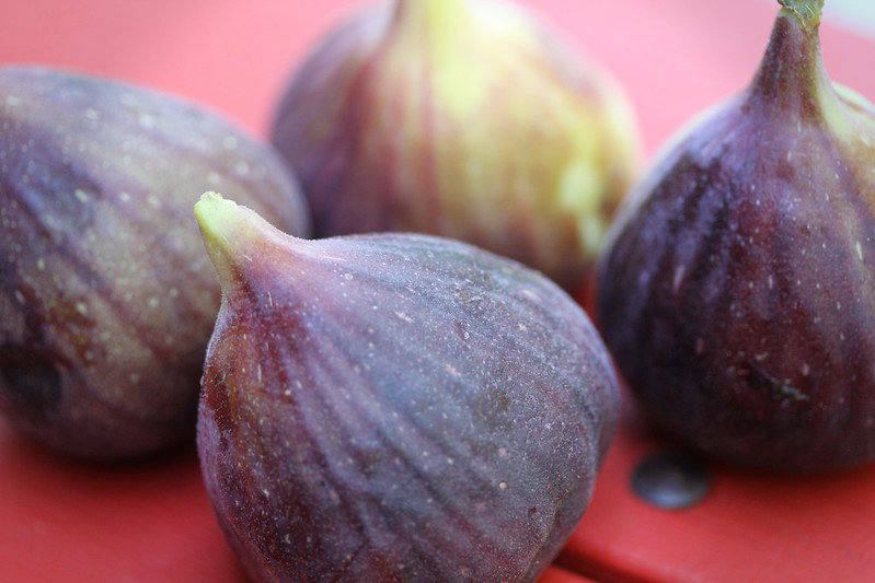 Figs
